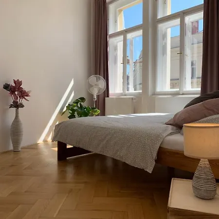 Vip Center Apartament Praga